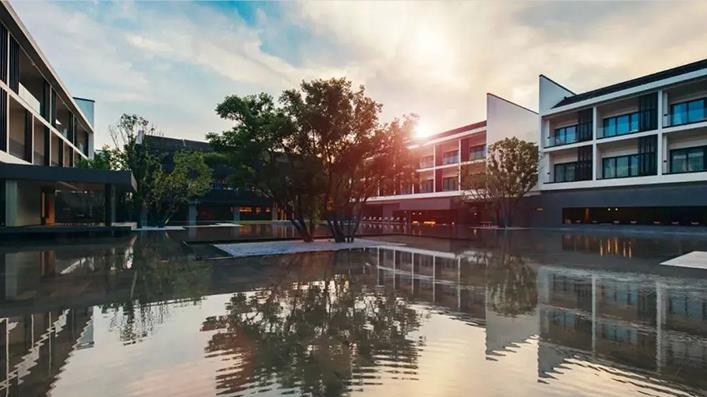 ���������Ƶ�